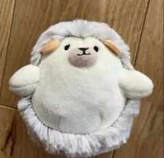 サンレモン　ハリネズミ