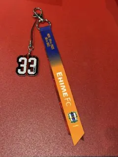 コンサドーレ札幌 ボンフィン　11/29 愛媛戦　#33 近藤友喜