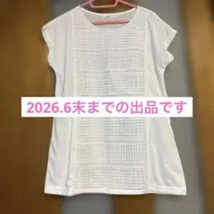 ホワイト 半袖 Tシャツ レース風デザイン