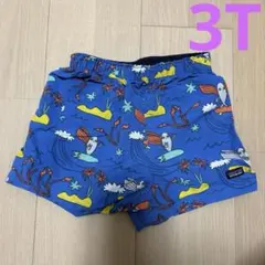 パタゴニア　バギーズショーツ
