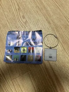 Weezer ウィーザー メタルチャームコレクション White Album