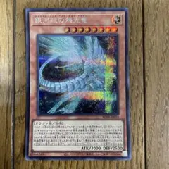 遊戯王　残光竜　シク　　⑮