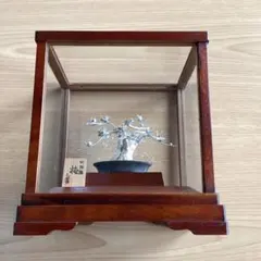 2025年最新】純銀盆栽 光則の人気アイテム - メルカリ