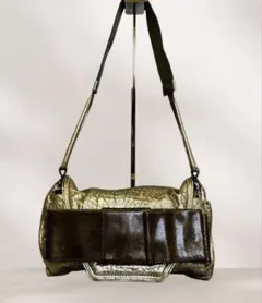✨レア✨Chloe クロエ　メタリックゴールド　レザー ショルダーバッグのサムネイル