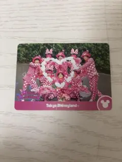 ミニーのファンダーランド コレクションカード ダンサー コレカ パルパルーザ