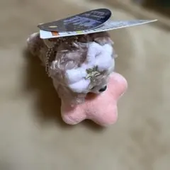 ディズニー サマーナイトメロディ シェリーメイ ぬいぐるみチャーム