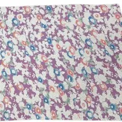 Item thumbnail for item cf94cfa4-ef8b-46e3-a2aa-08f2ab24728e