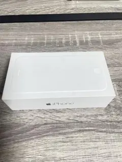 Apple iPhone 6 スペースグレー 64GB ケースのみ