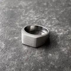 Item thumbnail for item 42b8e66e-357c-4c27-b6a8-4511173f78b3