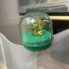 ポケモン　玩具　明治チョコボール