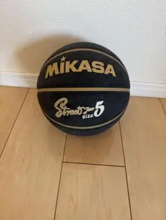 Item thumbnail for item f7056329-87d7-4d35-ab33-67a33d0145b2