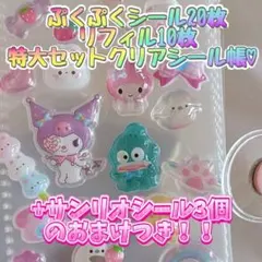 特別セット★透明シール帳 A7バインダー リフィル10枚　シール23枚付き