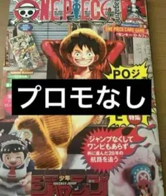 ワンピースマガジン 雑誌