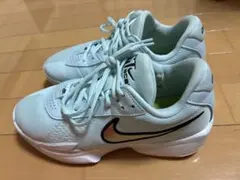 NIKE ナイキ バスケットボール シューズ FB2598-400