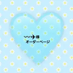 ～ ✈ 様 専用ページ