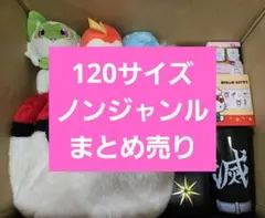 アニメグッズなど 120サイズ ノンジャンル 大量 まとめ売り 約300点