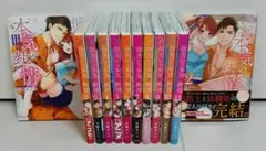 小冊子4冊付】世界一初恋 全20巻 中村春菊 BL 2510bg020 - メルカリ