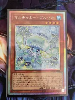 マルチャミー・プルリア プリシク