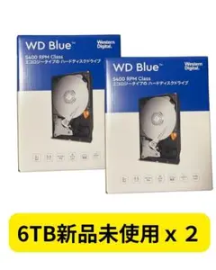 WD Blue 5400 RPM Class 6TB x 2