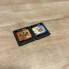 Nintendo DS ソフト 2本セット