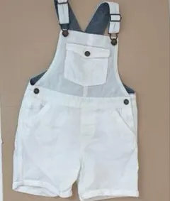 Item thumbnail for item 20ae8008-b983-420a-8722-6f4cf9bd1375