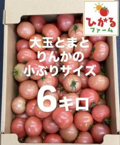 大容量でお買い得⭐️小玉なサイズのりんか6キロ‼️ひかるファーム