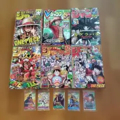 ワンピース カードゲーム 2002年 ルフィ プロモーション冊子 - メルカリ