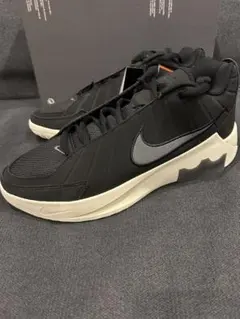 NIKE LEBRON WITNESS Ⅸ EP レブロン ウィットネス 9