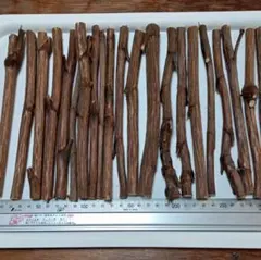 Item thumbnail for item 627244b9-f37f-4c71-a525-03ef652cb31e