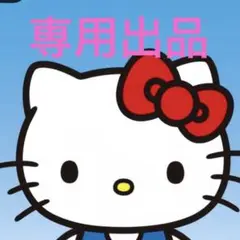 専用出品