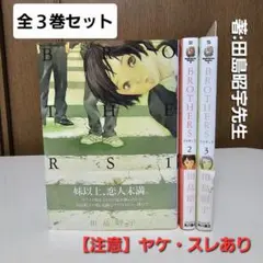 【3巻セット】BROTHERS 田島昭宇 帯付き 焼け・スレあり