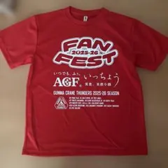群馬クレインサンダーズ FANFEST Tシャツ 2025-26 Lサイズ　赤のサムネイル