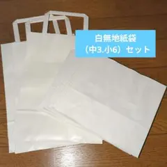 381系 エチケット袋 数量＝3 - メルカリ