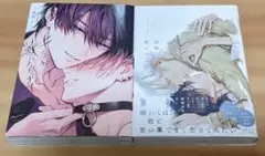 BLコミック　2冊セット　まとめ売り