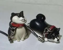 Item thumbnail for item 1dafbd8d-d84e-4c01-a43a-ab3adbf1fde4