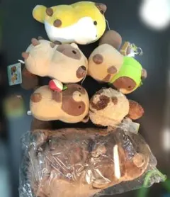 タヌキとキツネ　 ぬいぐるみ マスコット まとめ売り 7点セット