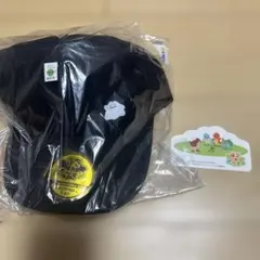 ぽこあポケモン エディオン予約特典 帽子 非売品シールセット