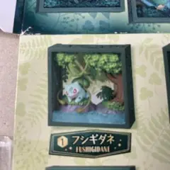 深緑の森　ポケモンフレーム　フシギダネ　未開封