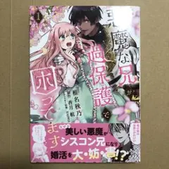 悪魔な兄が過保護で困ってます