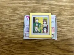 3COINS スリコ　りぼん ランダムマグネット　ルナティック雑技団