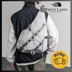 ★韓国限定★【THE NORTH FACE】ノースフェイス リュック　グレー