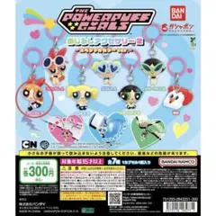 パワーパフガールズ めじるしアクセサリー2 スペシャルカラーver ブロッサムB