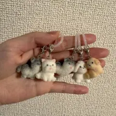 フロッキー めじるしアクセサリー 犬 5点セット
