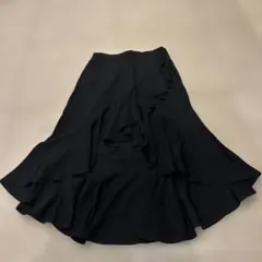 HERMOSA フラメンコ 練習用フォルダ 黒 - メルカリ