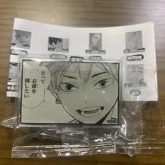 ハイキュー THEジャンプショップ 神保町 ミニアクリルスタンド 日向翔陽