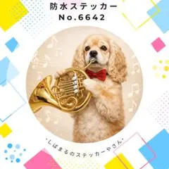 Peach様 リクエスト 2点 まとめ商品