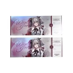 Item thumbnail for item 2c76a470-4247-4b73-bec1-1a64e3f17496