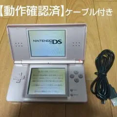 ニンテンドーDS Lite メタリック ゼロ 本体 USBケーブル付き