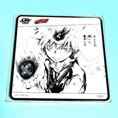 家庭教師ヒットマンREBORN！中国限定特典 アクリルコースター 沢田綱吉