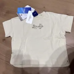 Item thumbnail for item ecf9687d-f7d9-49a0-9c9f-861a8d81525a